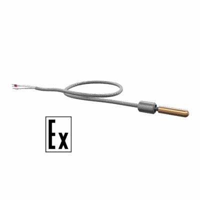 ДТСхх4 термосопротивления с кабельным выводом EXIA