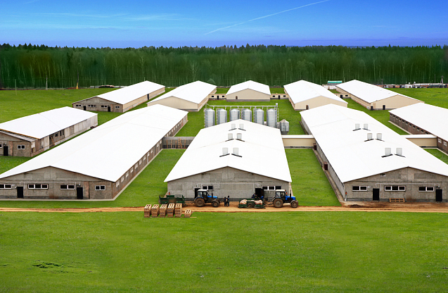 Оборудование для модернизации Дмитрогорского мясоперерабатывающего завода,
Тверская обл. 1 - NordEnergy