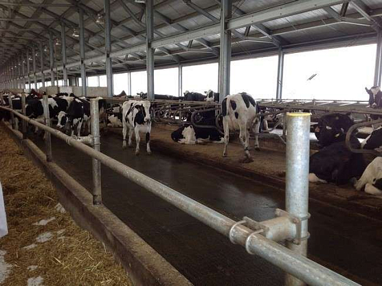 Оборудование для молочного комплекса, Волгоградская обл. 4 Оборудование для молочного комплекса, Волгоградская обл. 3 - NordEnergy