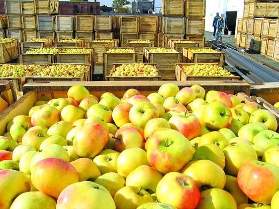 Комплексная поставка оборудования для завода «Сады Придонья», Волгоградская обл. 2 Комплексная поставка оборудования для завода «Сады Придонья», Волгоградская обл. 1 - NordEnergy