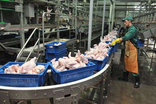 Расширительные баки Flamco для агрохолдинга «Белая птица», г. Шебекино 3 - NordEnergy