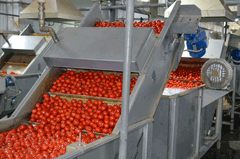 Реконструкция системы пароснабжения, ООО Царицынские соленья, г. Волжский 3 - NordEnergy