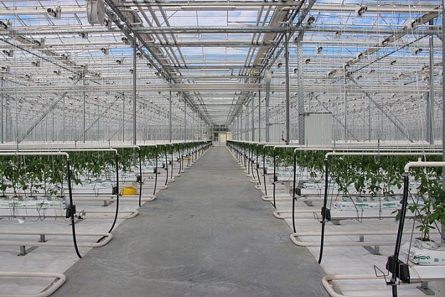 Арматура для газовой магистрали подведенной к тепличному комплексу, г. Самара 4 Арматура для газовой магистрали подведенной к тепличному комплексу, г. Самара 3 - NordEnergy