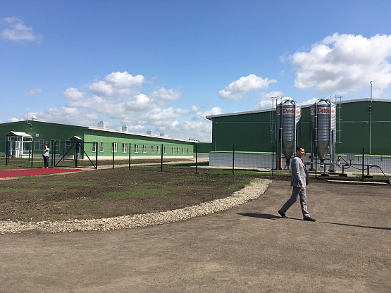 Строительство Наружных сетей водопровода и канализации для племенного
репродуктора на более чем 1700 свиноматок 5 - NordEnergy