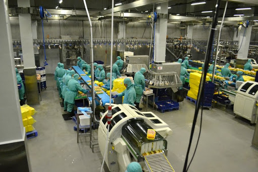 Улучшение очистных сооружений на птицефабрике, Ярославская область, Рыбинский
район, поселок Октябрьский 3 - NordEnergy